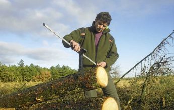 boswachter-corne-joziasse boswachter meet boomstam